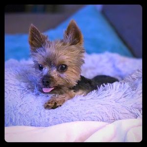 Meet your Posher, Kayci